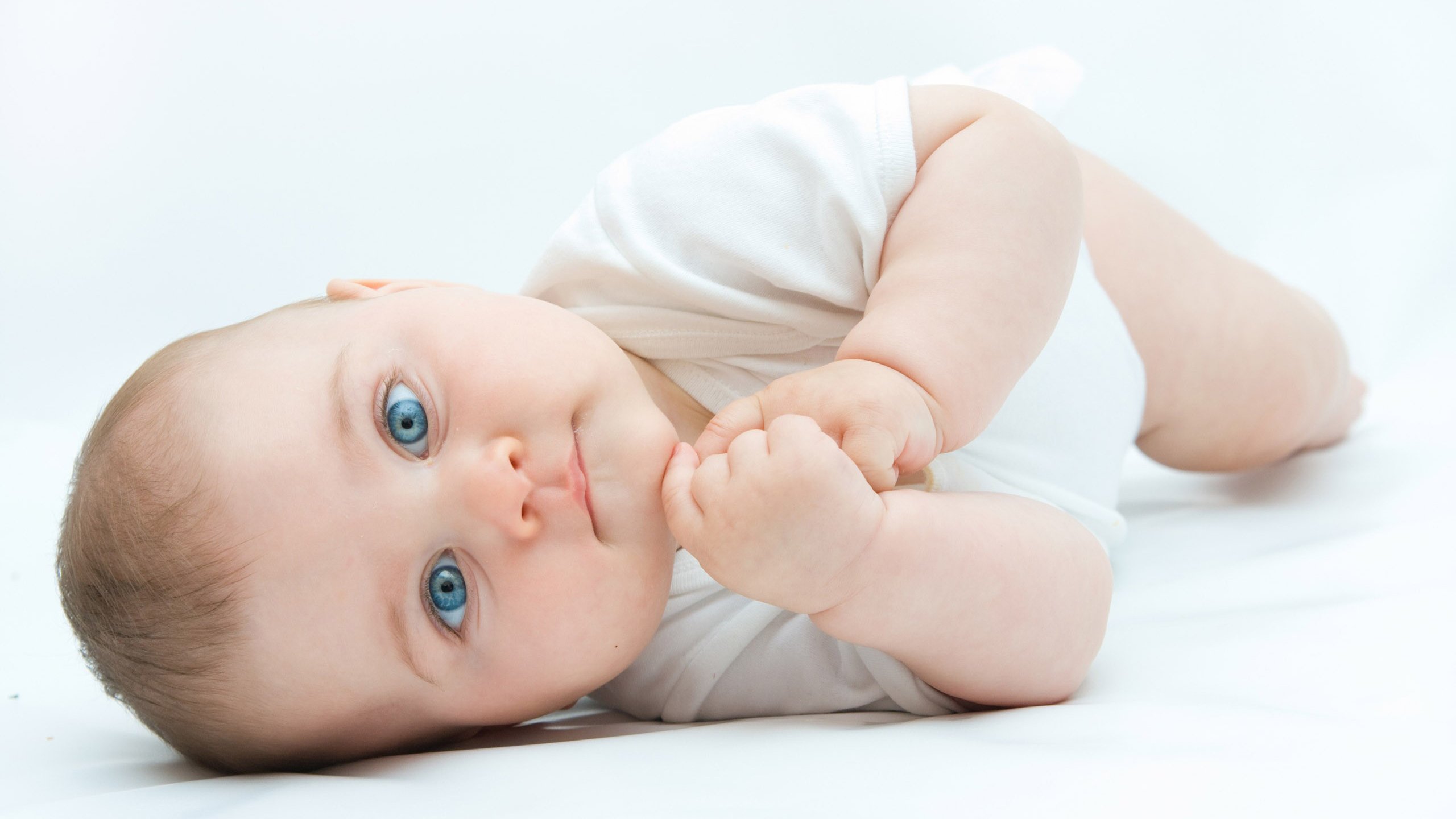 供卵公司机构2016试管婴儿成功率